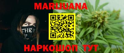 spice Новозыбков